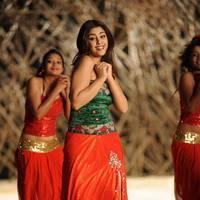 Richa Gangopadhyay New Hot Images | Picture 558355
