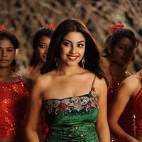 Richa Gangopadhyay New Hot Images | Picture 558358