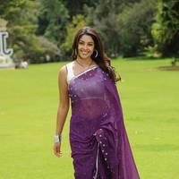 Richa Gangopadhyay New Hot Images | Picture 558363
