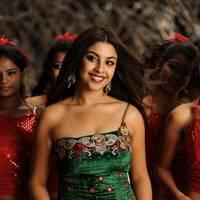Richa Gangopadhyay New Hot Images | Picture 558365