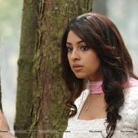 Richa Gangopadhyay New Hot Images | Picture 558718