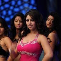Richa Gangopadhyay New Hot Images | Picture 558724