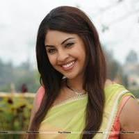 Richa Gangopadhyay New Hot Images | Picture 558727
