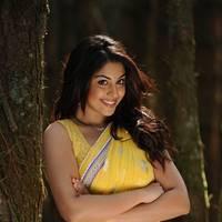 Richa Gangopadhyay New Hot Images | Picture 558376