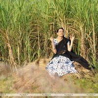 Diksha Panth - Kavvintha Telugu Movie Working Stills