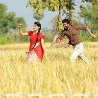 Kavvintha Telugu Movie Working Stills | Picture 373554