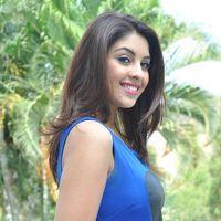 Actress Richa Gangopadhyay Latest Pictures | Picture 377760