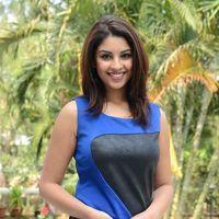 Actress Richa Gangopadhyay Latest Pictures | Picture 377799