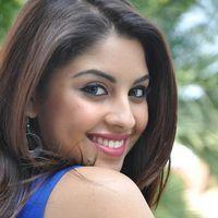Actress Richa Gangopadhyay Latest Pictures | Picture 377828