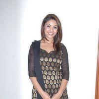 Richa Gangopadhyay at Mirchi Success Meet Pictures | Picture 381023