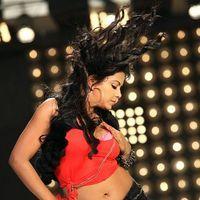 Rachana Maurya Hot item Song Photos In Okkadine Movie | Picture 381501