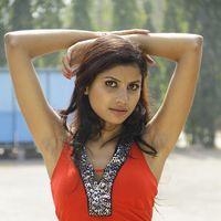 Ruthika, Colorful life movie Heroine Hot Gallery | Picture 381688