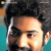 Jr.NTR New Movie First Look Posters | Picture 382211