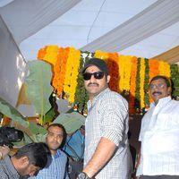 Jr.NTR New Film Opening Photos | Picture 382054