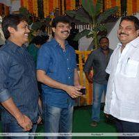 Jr.NTR New Film Opening Photos | Picture 382061