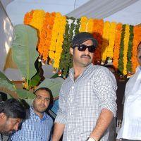 Jr. NTR - Jr.NTR New Film Opening Photos | Picture 382066
