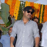 Jr. NTR - Jr.NTR New Film Opening Photos | Picture 382067