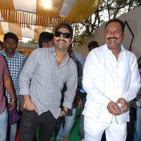Jr.NTR New Film Opening Photos | Picture 382074
