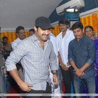 Jr. NTR - Jr.NTR New Film Opening Photos | Picture 382099