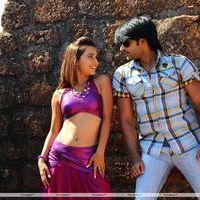 Love Touch Telugu Movie New Stills