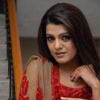 Tashu Koushik at Gola Srinu Audio Launch Pictures | Picture 388338