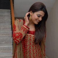 Tashu Koushik at Gola Srinu Audio Launch Pictures | Picture 388343