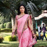 Shriya Saran Hot Pictures in Pavithra Movie | Picture 391124
