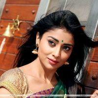 Shriya Saran Hot Pictures in Pavithra Movie | Picture 391125