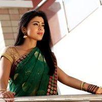 Shriya Saran Hot Pictures in Pavithra Movie | Picture 391132