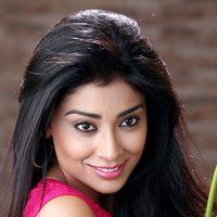 Shriya Saran Hot Pictures in Pavithra Movie | Picture 391139