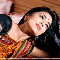 Shriya Saran Hot Pictures in Pavithra Movie | Picture 391141