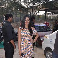 Nikitha Narayan Latest Pictures | Picture 391692