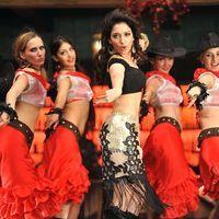 Tamanna New Stills | Picture 354274