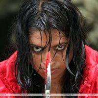 Iddara Bhamala Kougililo Movie Latest Stills | Picture 355537