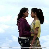 Iddara Bhamala Kougililo Movie Latest Stills | Picture 355552