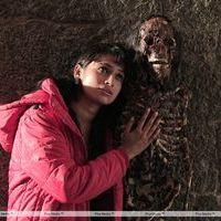 Iddara Bhamala Kougililo Movie Latest Stills | Picture 355553