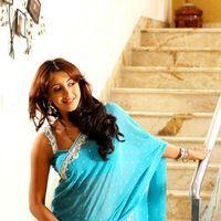 Sanjjanna Galrani - Jagan Nirdoshi Movie Latest Photos | Picture 355424