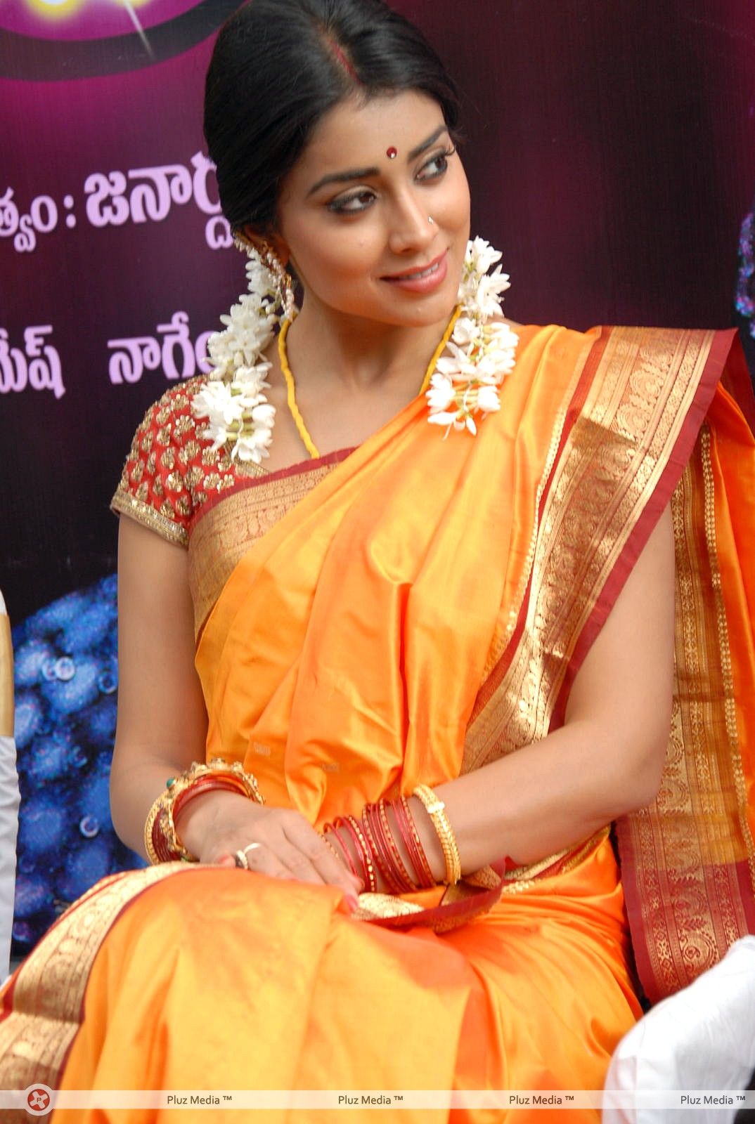 Shriya Cute Saree Stills at Pavithra Movie Press Meet | Picture 356120