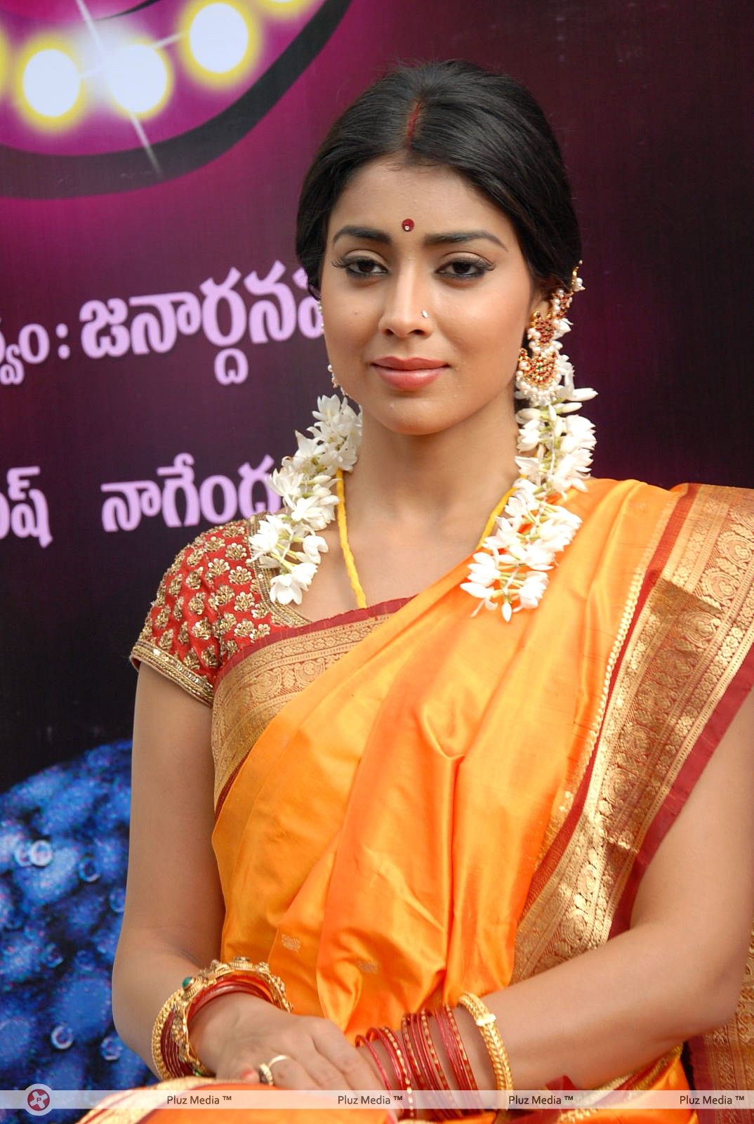 Shriya Cute Saree Stills at Pavithra Movie Press Meet | Picture 356128