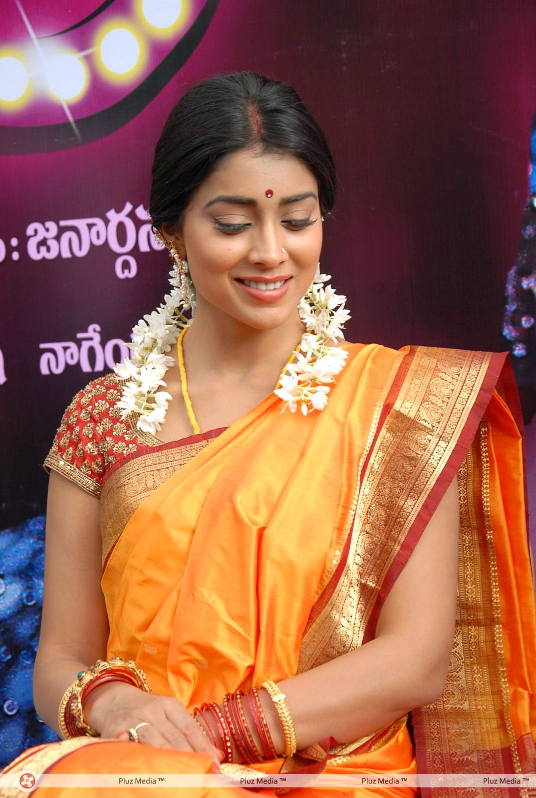 Shriya Cute Saree Stills at Pavithra Movie Press Meet | Picture 356133