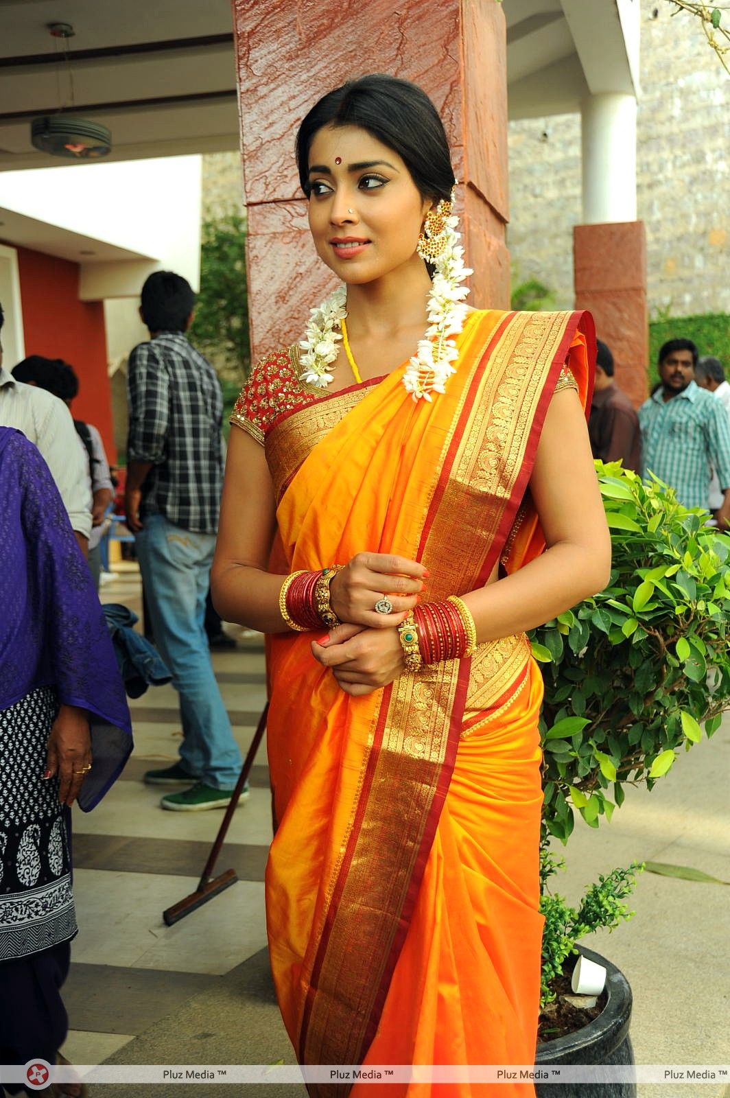 Shriya Cute Saree Stills at Pavithra Movie Press Meet | Picture 356212