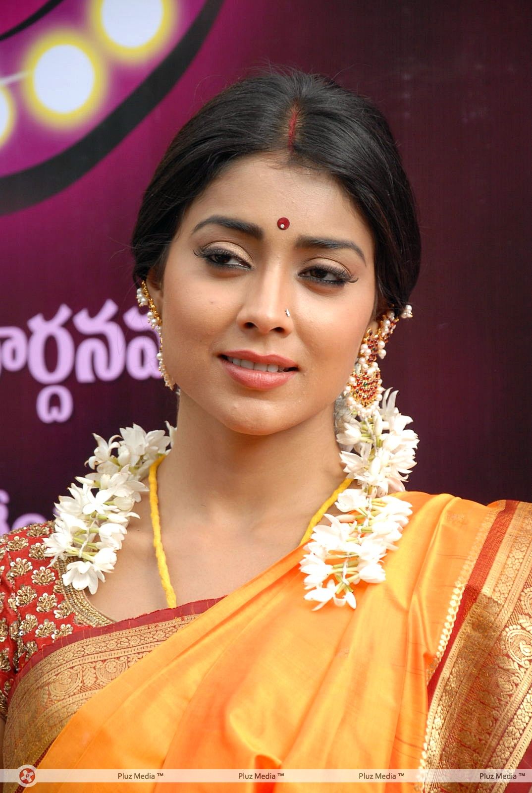 Shriya Cute Saree Stills at Pavithra Movie Press Meet | Picture 356216