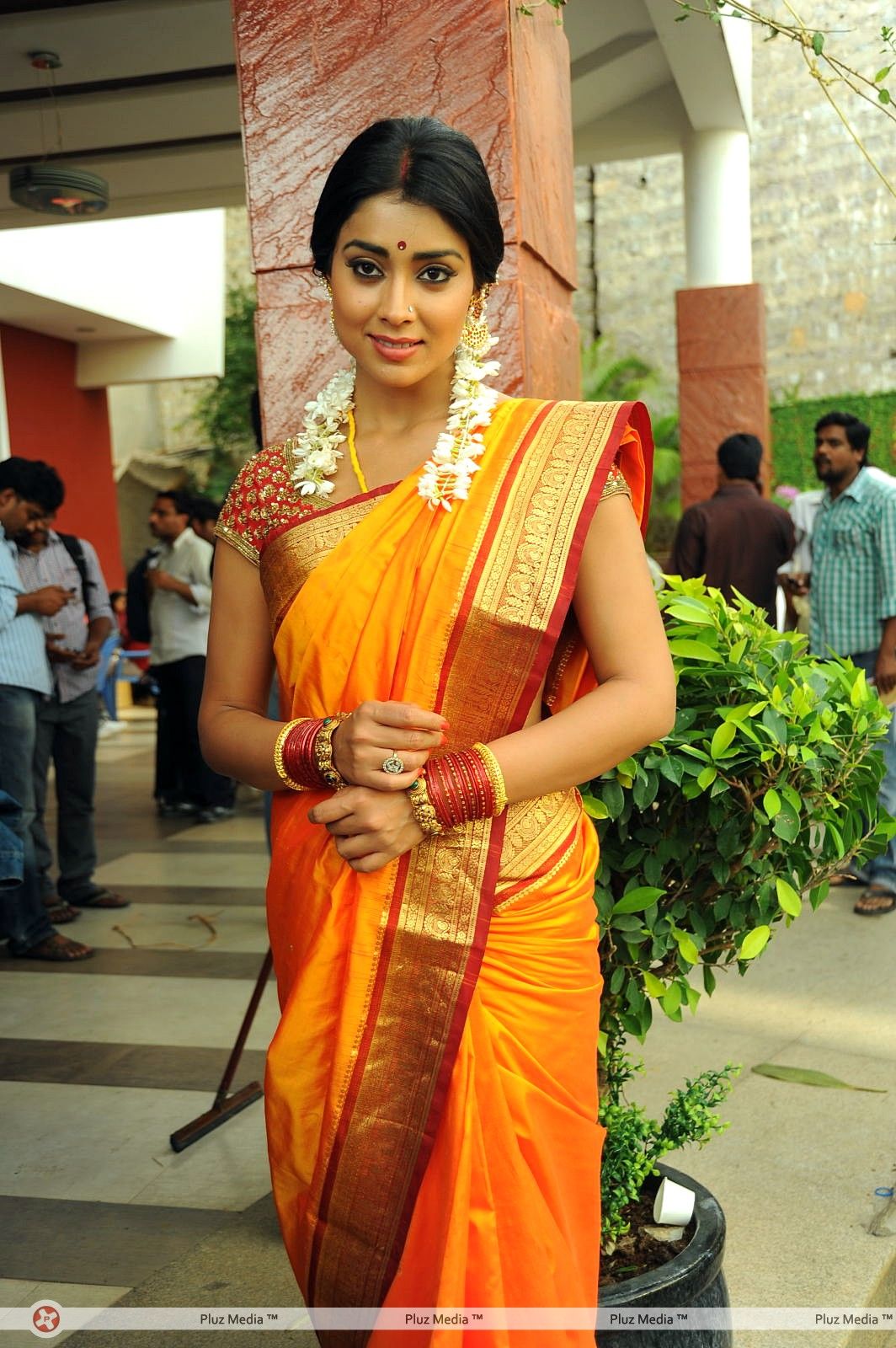 Shriya Cute Saree Stills at Pavithra Movie Press Meet | Picture 356219