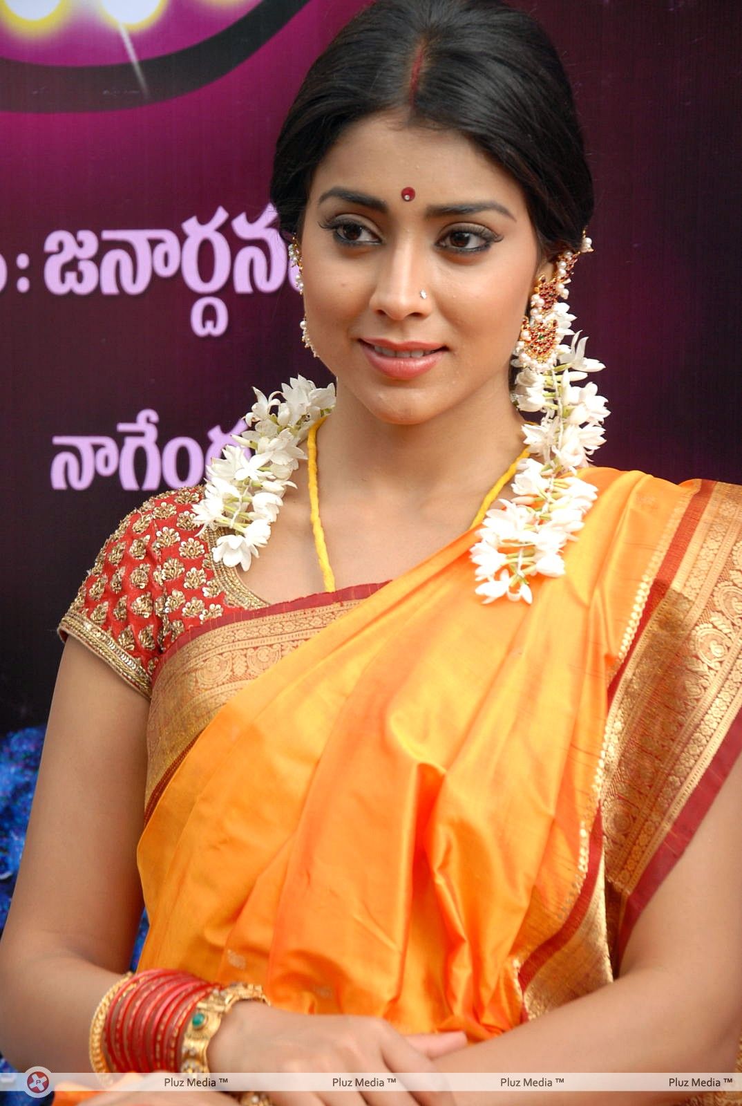 Shriya Cute Saree Stills at Pavithra Movie Press Meet | Picture 356223