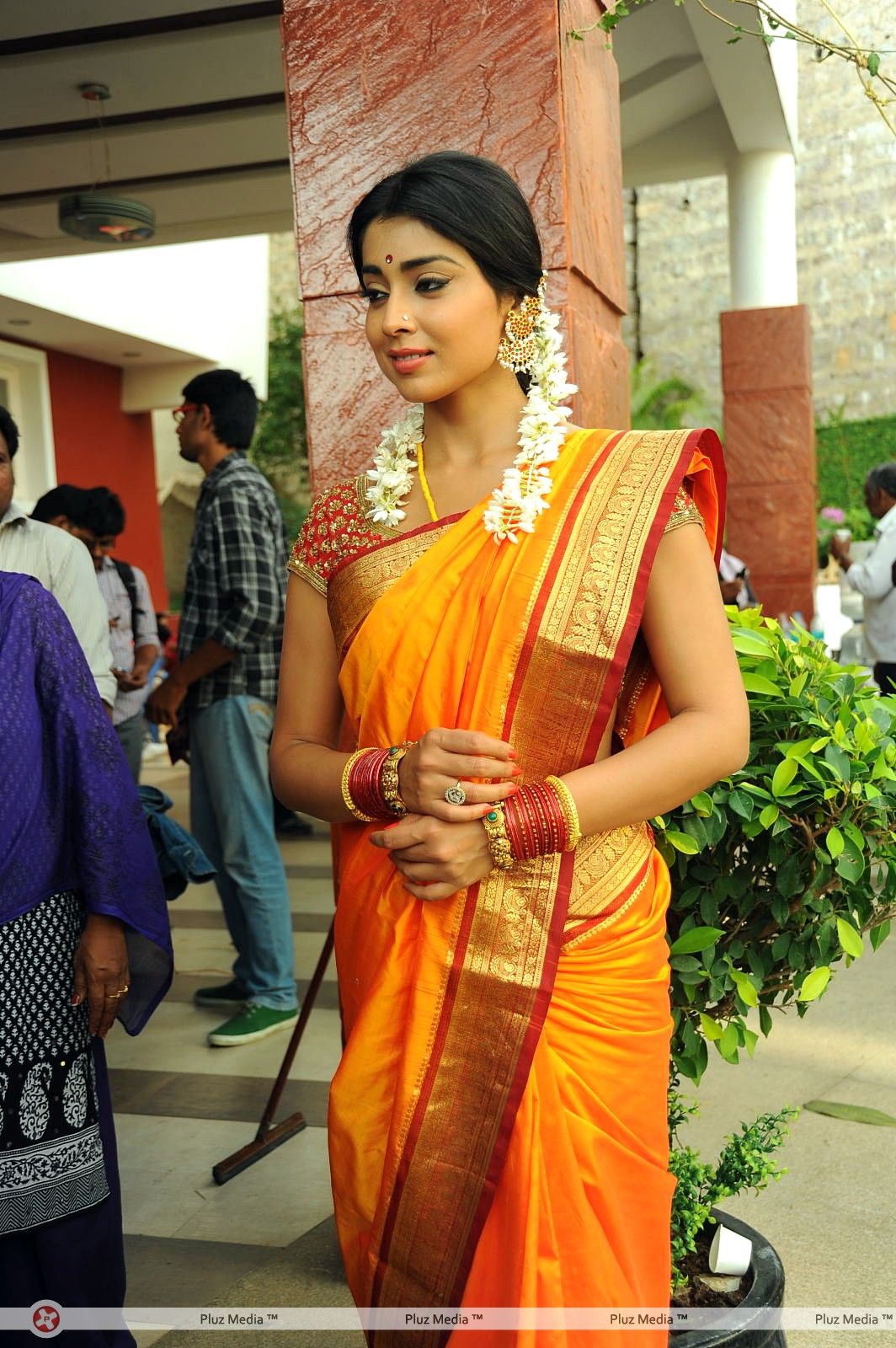 Shriya Cute Saree Stills at Pavithra Movie Press Meet | Picture 356227