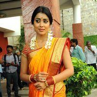 Shriya Cute Saree Stills at Pavithra Movie Press Meet | Picture 356179