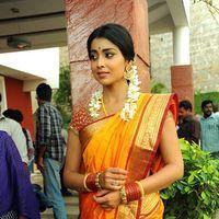 Shriya Cute Saree Stills at Pavithra Movie Press Meet | Picture 356182