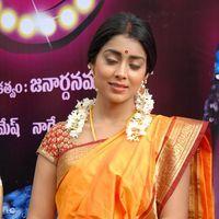 Shriya Cute Saree Stills at Pavithra Movie Press Meet | Picture 356183