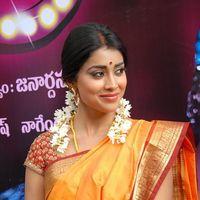 Shriya Cute Saree Stills at Pavithra Movie Press Meet | Picture 356100