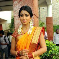 Shriya Cute Saree Stills at Pavithra Movie Press Meet | Picture 356186